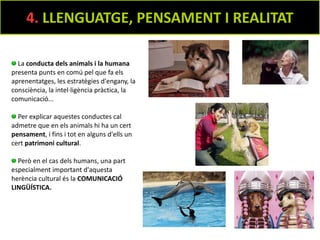 El Llenguatge i el Simbolisme.pdf