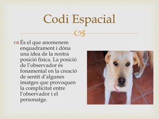 
 És el que anomenem
enquadrament i dóna
una idea de la nostra
posició física. La posició
de l’observador és
fonamental en la creació
de sentit d’algunes
imatges que provoquen
la complicitat entre
l’observador i el
personatge.
Codi Espacial
 