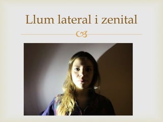
Llum lateral i zenital
 