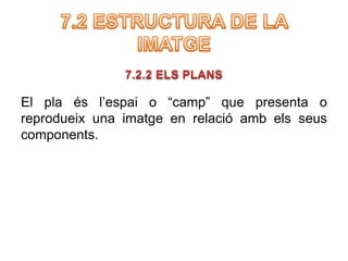 El pla és l’espai o “camp” que presenta o 
reprodueix una imatge en relació amb els seus 
components. 
 