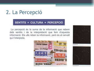2. La Percepció La percepció és la suma de la informació que rebem dels sentits i de la interpretació que fem d’aquesta informació. Els ulls reben la informació, però és el cervell qui l’interpreta. SENTITS  +  CULTURA  =  PERCEPCIÓ 
