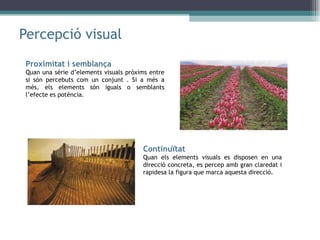 Percepció visual Proximitat i semblança Quan una sèrie d’elements visuals pròxims entre si són percebuts com un conjunt . Si a més a més, els elements són iguals o semblants l’efecte es potència. Continuïtat Quan els elements visuals es disposen en una direcció concreta, es percep amb gran claredat i rapidesa la figura que marca aquesta direcció. 