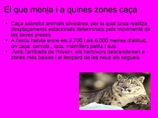 El que menja i a quines zones caça Caça sobretot animals silvestres, per la qual cosa realitza desplaçaments estacionals determinats pels moviments de les seves preses. A l'estiu habita entre els 2.700 i els 6.000 metres d'altitud, on caça: cervols , iacs, mamífers petits i aus.   Amb l'arribada de l'hivern, els herbívors descendeixen a zones més baixes i el lleopard de les neus els segueix. 