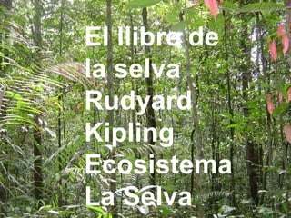 El llibre de la selva Rudyard Kipling Ecosostema: La Selva El llibre de la selva Rudyard Kipling Ecosistema La Selva 