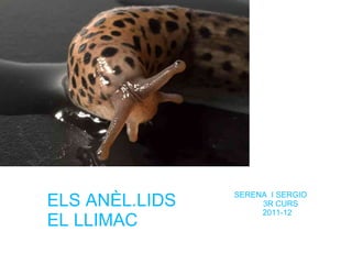 ELS ANÈL.LIDS   SERENA I SERGIO
                     3R CURS
                     2011-12
EL LLIMAC
 