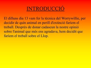 INTRODUCCIÓ 
El dilluns dia 13 vam fer la tècnica del Worrywillie, per 
decidir de quin animal en perill d'extinció faríem el 
treball. Desprès de donar cadascun la nostre opinió 
sobre l'animal que més ens agradava, hem decidit que 
faríem el treball sobre el Llop. 
 