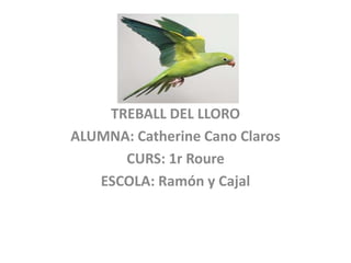TREBALL DEL LLORO
ALUMNA: Catherine Cano Claros
      CURS: 1r Roure
   ESCOLA: Ramón y Cajal
 