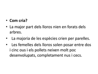 • Com cria?
• La major part dels lloros nien en forats dels
  arbres.
• La majoria de les espècies crien per parelles.
• Les femelles dels lloros solen posar entre dos
  i cinc ous i els pollets neixen molt poc
  desenvolupats, completament nus i cecs.
 