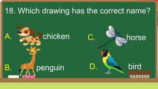 18. Which drawing has the correct name?
A. chicken
B. penguin
C. horse
D. bird
 