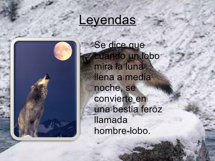 El lobo