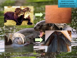 DAVID GUEVARA,
ELIZABETH LLACTA Y
JHENNYFER RAMOS

 