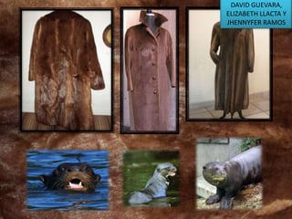 DAVID GUEVARA,
ELIZABETH LLACTA Y
JHENNYFER RAMOS

 