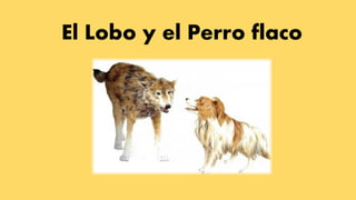 El Lobo y el Perro flaco
 