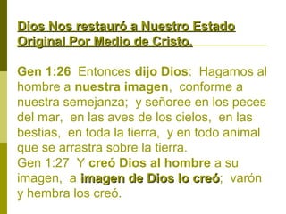 Dios Nos restauró a Nuestro Estado
Original Por Medio de Cristo.
Gen 1:26 Entonces dijo Dios: Hagamos al
hombre a nuestra imagen, conforme a
nuestra semejanza; y señoree en los peces
del mar, en las aves de los cielos, en las
bestias, en toda la tierra, y en todo animal
que se arrastra sobre la tierra.
Gen 1:27 Y creó Dios al hombre a su
imagen, a imagen de Dios lo creó; varón
creó
y hembra los creó.

 