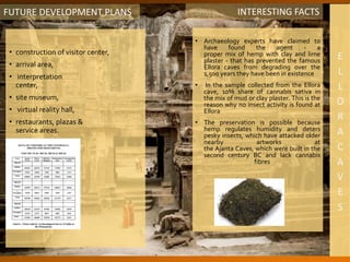 • construction of visitor center,
• arrival area,
• interpretation
center,
• site museum,
• virtual reality hall,
• restaurants, plazas &
service areas.
FUTURE DEVELOPMENT PLANS
• Archaeology experts have claimed to
have found the agent - a
proper mix of hemp with clay and lime
plaster - that has prevented the famous
Ellora caves from degrading over the
1,500 years they have been in existence
• In the sample collected from the Ellora
cave, 10% share of cannabis sativa in
the mix of mud or clay plaster. This is the
reason why no insect activity is found at
Ellora
• The preservation is possible because
hemp regulates humidity and deters
pesky insects, which have attacked older
nearby artworks at
the Ajanta Caves, which were built in the
second century BC and lack cannabis
fibres
INTERESTING FACTS
 