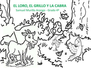 EL LORO, EL GRILLO Y LA CABRA 
Samuel Murillo Arango - Grado 4º 
 