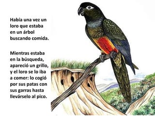 Había una vez un 
loro que estaba 
en un árbol 
buscando comida. 
Mientras estaba 
en la búsqueda, 
apareció un grillo, 
y...
