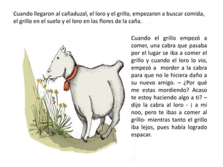 Cuando llegaron al cañaduzal, el loro y el grillo, empezaron a buscar comida, 
el grillo en el suelo y el loro en las flor...