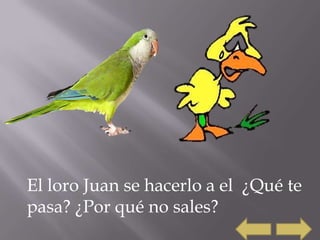 El loro Juan se hacerlo a el ¿Qué te
pasa? ¿Por qué no sales?
 