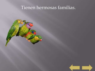 Tienen hermosas familias.
 