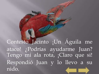 Contesto Jacinto Un Águila me
ataco! ¿Podrías ayudarme Juan?
Tengo mi ala rota, Claro que si!
Respondió Juan y lo llevo a su
nido.
 