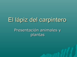 El lápiz del carpinteroEl lápiz del carpintero
Presentación animales yPresentación animales y
plantasplantas
 