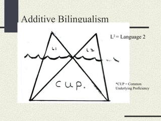 Additive Bilingualism L 2  = Language 2 *CUP = Common Underlying Proficiency * 