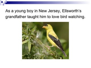 As a young boy in New Jersey, Ellsworth’s
grandfather taught him to love bird watching.
 