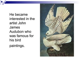 He became
interested in the
artist John
James
Audubon who
was famous for
his bird
paintings.
 