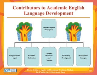Contributors to Academic English Language Development English Language Development Comprehensible Input Scaffolded  Instruction Language Structures And Functions Vocabulary  Development Metacognitive Strategies 