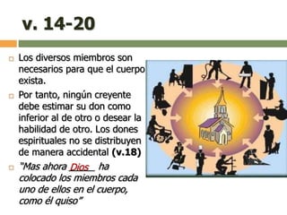 v. 14-20
 Los diversos miembros son
necesarios para que el cuerpo
exista.
 Por tanto, ningún creyente
debe estimar su don como
inferior al de otro o desear la
habilidad de otro. Los dones
espirituales no se distribuyen
de manera accidental (v.18)
 “Mas ahora _____ ha
colocado los miembros cada
uno de ellos en el cuerpo,
como él quiso”
Dios
 