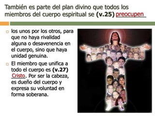 También es parte del plan divino que todos los
miembros del cuerpo espiritual se (v.25) _________
 los unos por los otros, para
que no haya rivalidad
alguna o desavenencia en
el cuerpo, sino que haya
unidad genuina.
 El miembro que unifica a
todo el cuerpo es (v.27)
_____. Por ser la cabeza,
es dueño del cuerpo y
expresa su voluntad en
forma soberana.
preocupen
Cristo
 