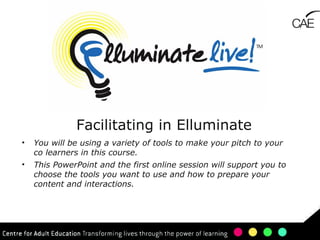 Facilitating in Elluminate ,[object Object],[object Object],Where we seem t be going 