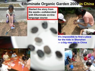 Elluminate Organic Garden 2009 in China
Started the story from
the seeds---collaborated
with Elluminate on-line
language course

It’s impossible to find a place
for the kids in Shenzhen
--- a big new city in China

 
