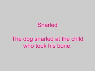 Snarled
The dog snarled at the child
who took his bone.
 