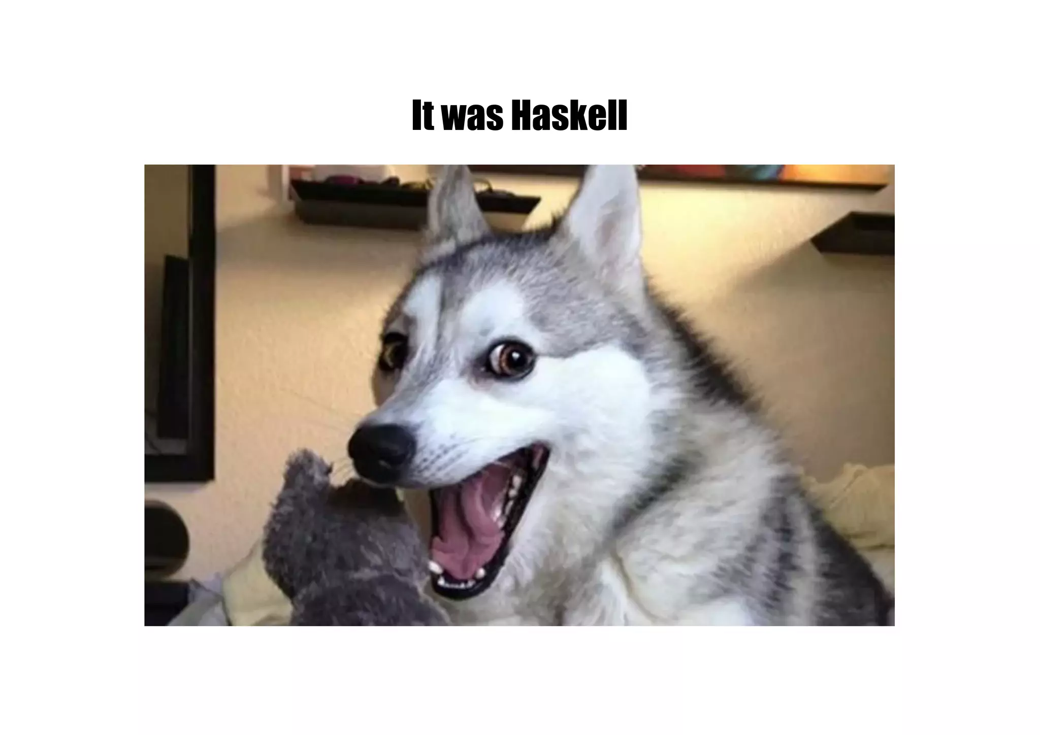 It was Haskell
 