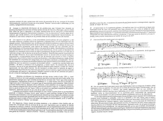 El maestro de canto sergio tulian