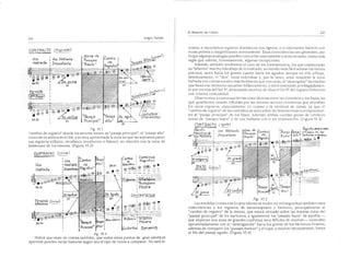 El maestro de canto sergio tulian