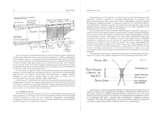 El maestro de canto sergio tulian