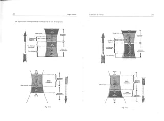 El maestro de canto sergio tulian