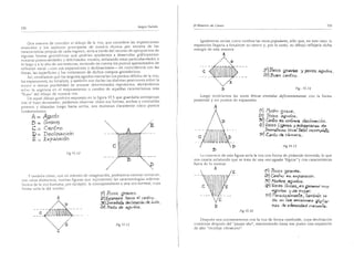 El maestro de canto sergio tulian