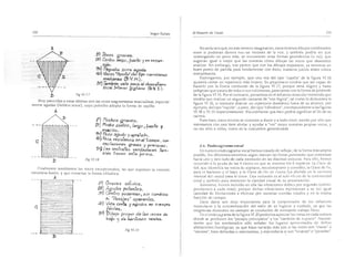 El maestro de canto sergio tulian