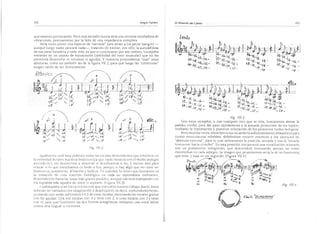 El maestro de canto sergio tulian