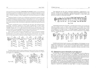 El maestro de canto sergio tulian