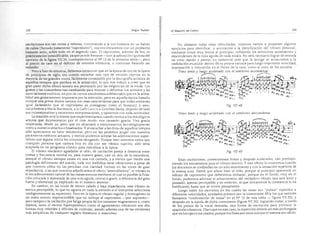 El maestro de canto sergio tulian