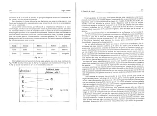 El maestro de canto sergio tulian