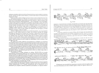 El maestro de canto sergio tulian