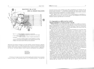 El maestro de canto sergio tulian