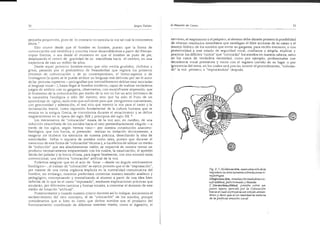 El maestro de canto sergio tulian