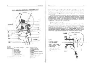 El maestro de canto sergio tulian